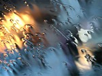 Manacor Rain, 