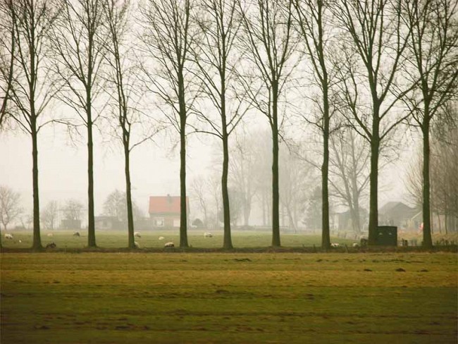 Echt Nederland, 
