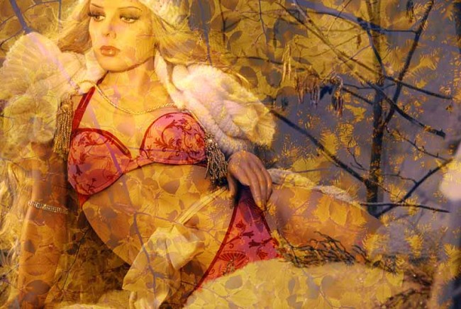 Snow Bunny, 
